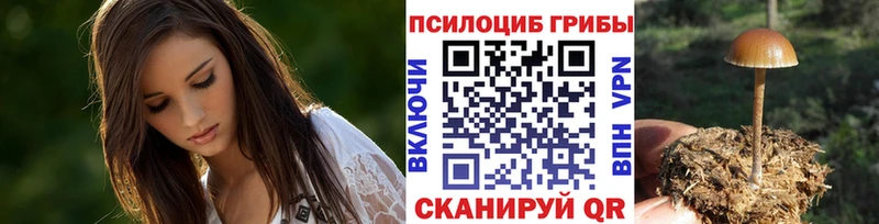 купить закладку  hydra ссылки  Галлюциногенные грибы мухоморы  Каспийск 