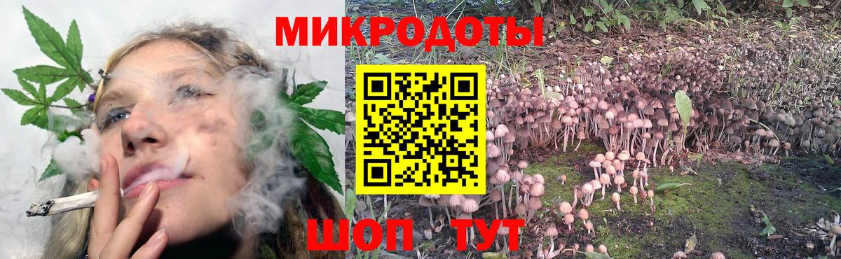 Псилоцибиновые грибы Magic Shrooms  Псилоцибиновые грибы ЛСД  Каспийск  Вход с VPN 